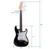 Rosewood Fingerboard Electric Guitar Black w/ White