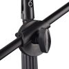 Mic Stand w/ Boom Arm 2mic Black