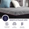 Bridgevine Home 11 inch Renew Flex Head Cooling Fast Responding Latex Foam Adult Mattress, Queen Size